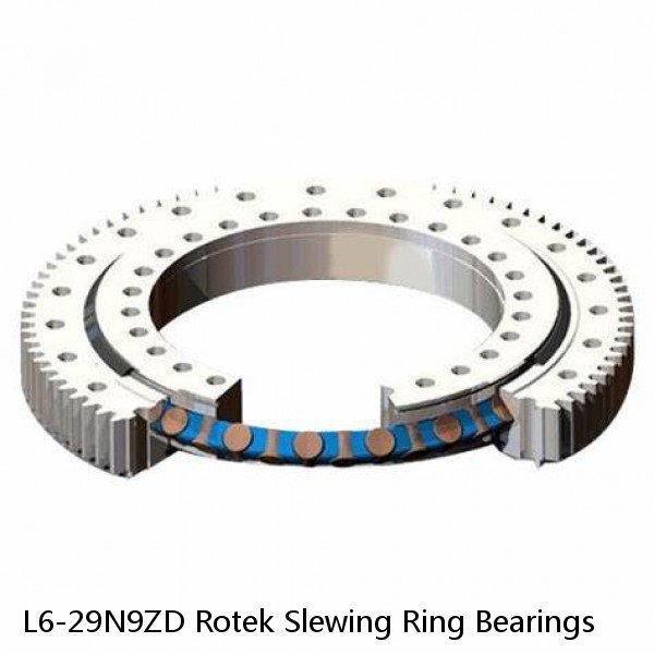 L6-29N9ZD Rotek Slewing Ring Bearings