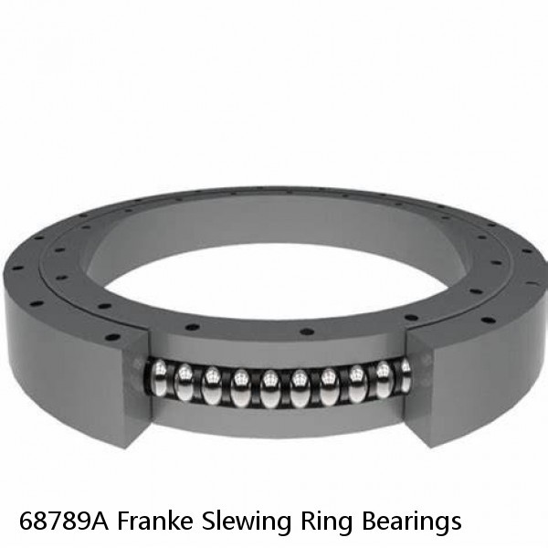 68789A Franke Slewing Ring Bearings