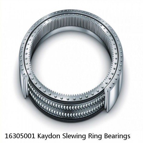 16305001 Kaydon Slewing Ring Bearings