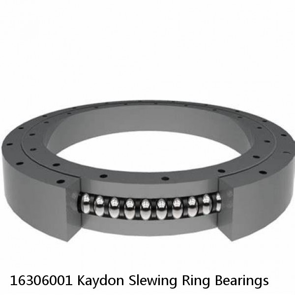 16306001 Kaydon Slewing Ring Bearings