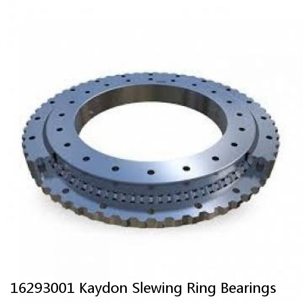 16293001 Kaydon Slewing Ring Bearings