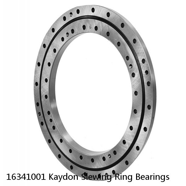 16341001 Kaydon Slewing Ring Bearings