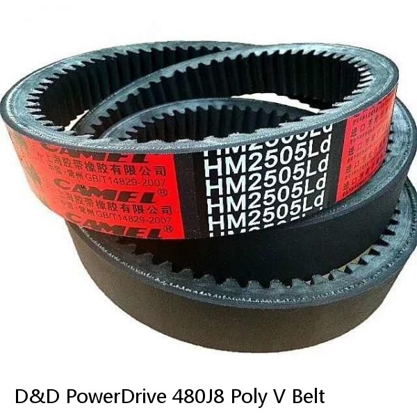 D&D PowerDrive 480J8 Poly V Belt